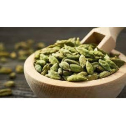 Cardamom
